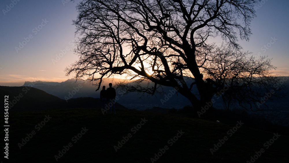Fototapeta premium Coucher de soleil amoureux sous un arbre 