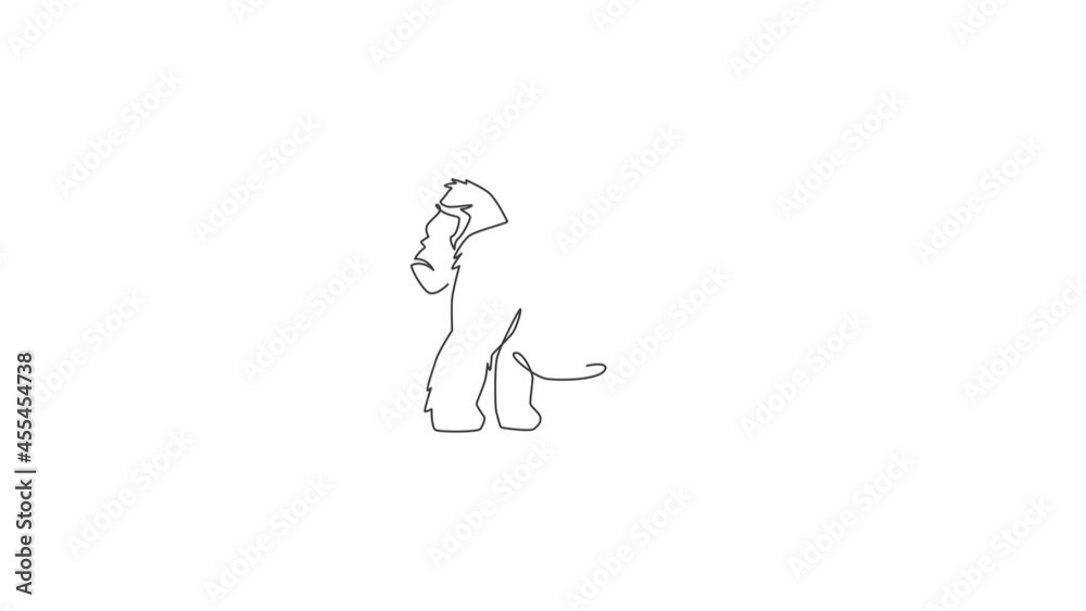 Animated self drawing of single continuous line draw gorilla for national zoo logo identity. Animal primate portrait mascot concept for e-sport team club icon. Full length one line animation. Animated self drawing of single continuous line draw gorilla for national zoo logo identity. Animal primate portrait mascot concept for e-sport team club icon. Full length one line animation.