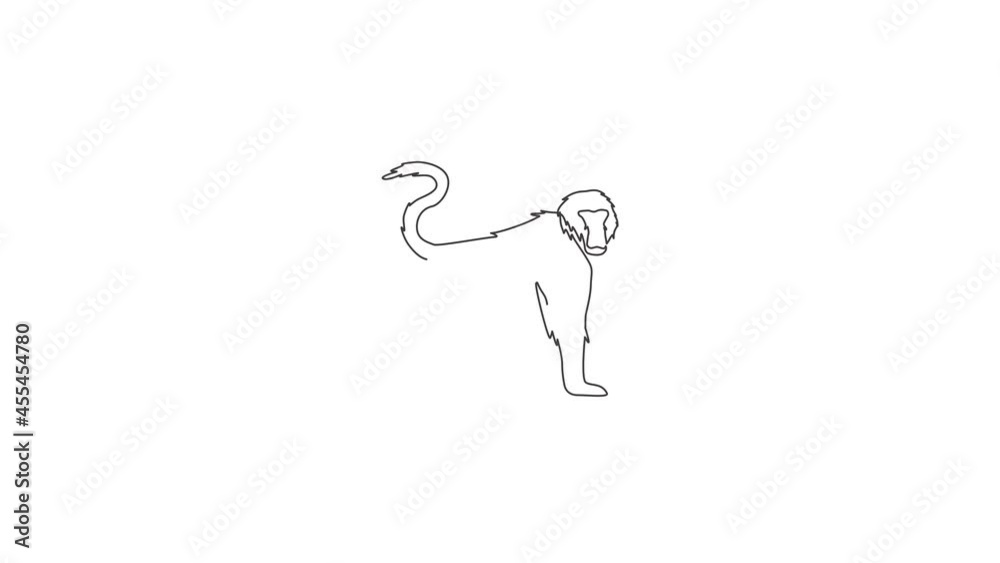 Animated self drawing of one continuous line draw walking baboon for conservation jungle logo identity. Primate animal mascot concept for national park icon. Full length single line animation. Animated self drawing of one continuous line draw walking baboon for conservation jungle logo identity. Primate animal mascot concept for national park icon. Full length single line animation.