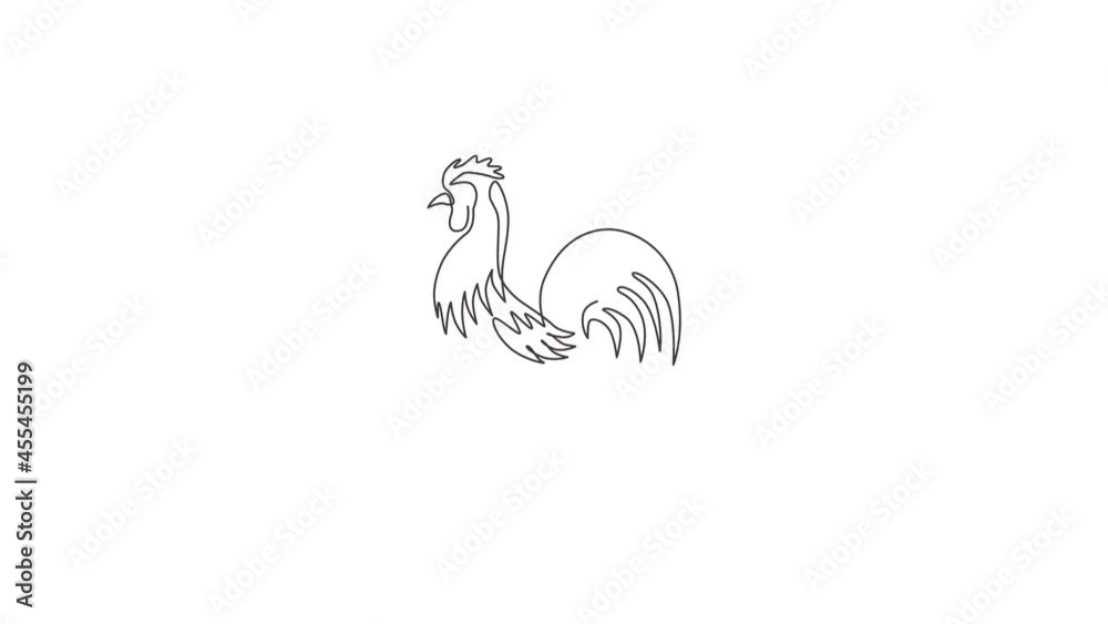 Animated self drawing of one continuous line draw tough rooster for poultry business logo identity. Chicken mascot concept for organic meat food icon. Full length single line animation illustration. Animated self drawing of one continuous line draw tough rooster for poultry business logo identity. Chicken mascot concept for organic meat food icon. Full length single line animation illustration.