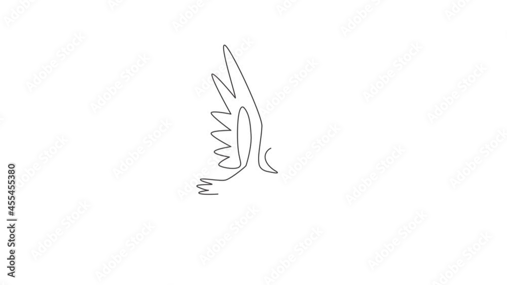 Animated self drawing of one continuous line draw cute pelican for delivery service company logo. Large bird mascot concept for product shipping service enterprise. Full length single line animation. Animated self drawing of one continuous line draw cute pelican for delivery service company logo. Large bird mascot concept for product shipping service enterprise. Full length single line animation.