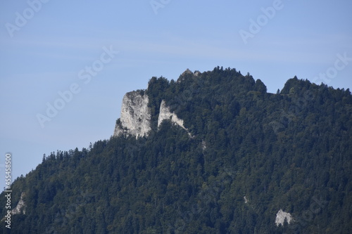 Sokolica, góry Pieniny, Małopolska, Pieniński Park Narodowy