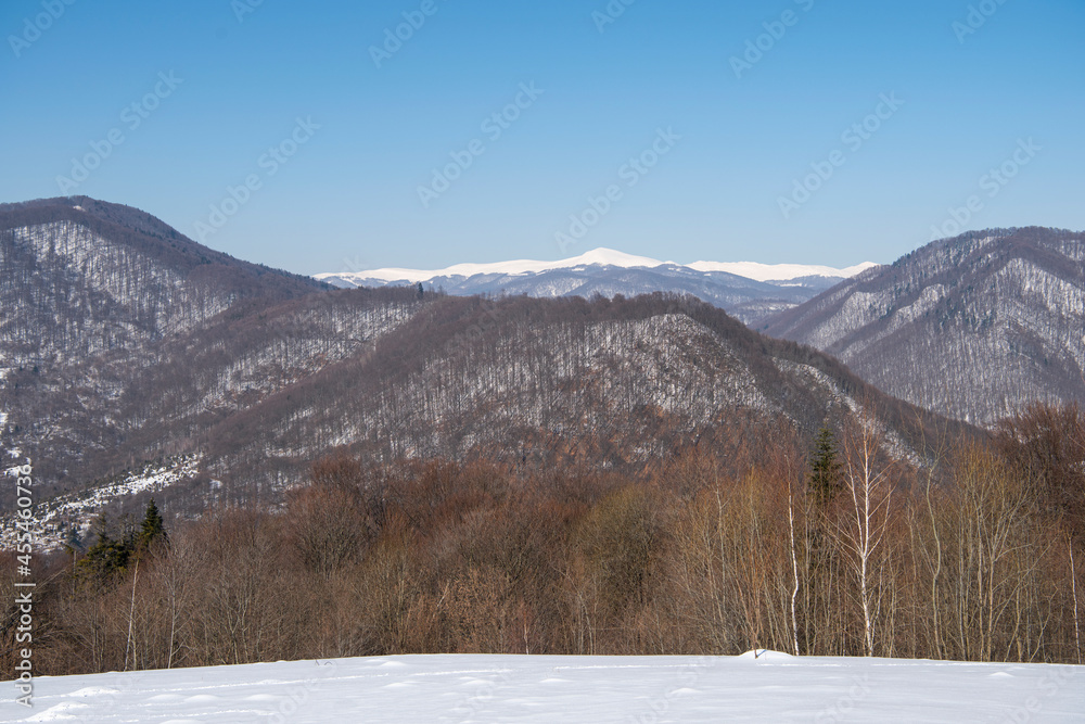 Winter landscape of the mountain forest