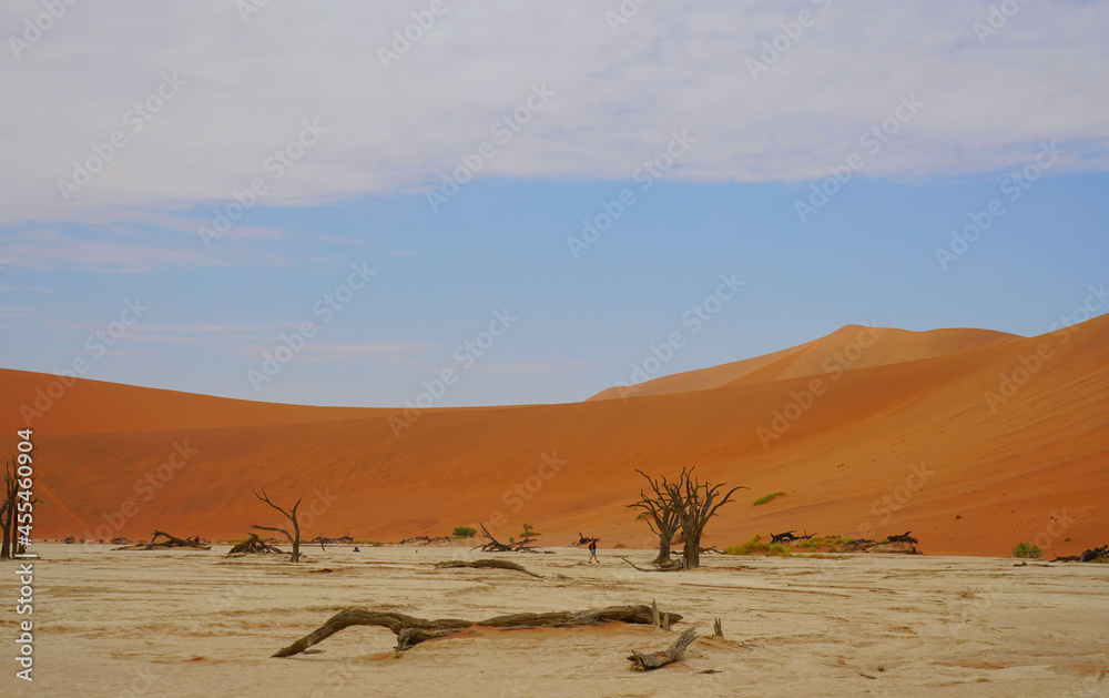 The red desert, dead trees, and tourists hiking in the sand dunes.