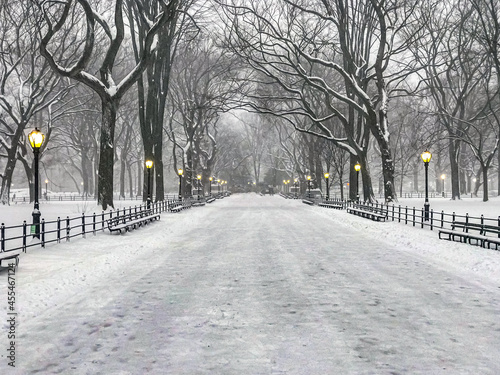 Central Park in winter