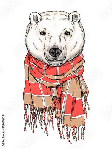 Cute polar bear in a plaid scarf. Stylish image for printing on any surface