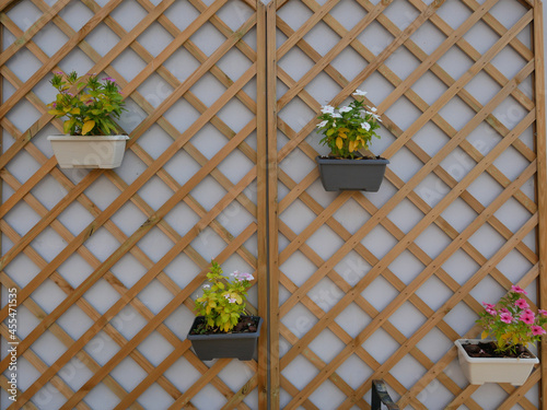 Closeup of flower pots hanging on trellis photo