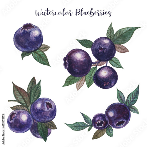 Watercolor blueberries realistic painting 