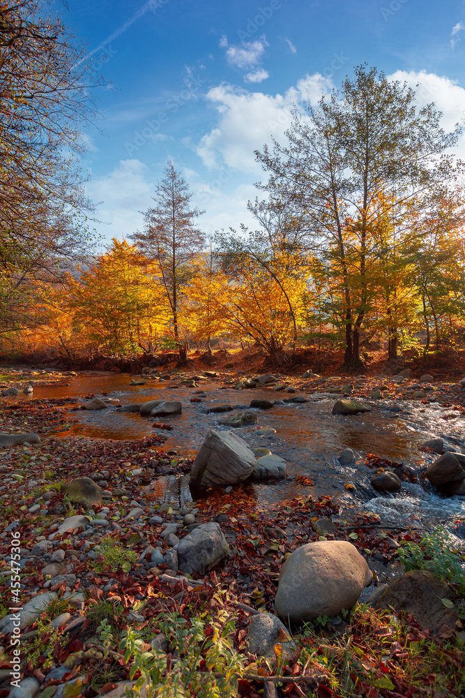 autumn landscape with river. beautiful countryside scenery at sunrise. stones in the water and trees in yellow foliage on the shore. clouds on the blue morning sky autumn landscape with river. beautiful countryside scenery at sunrise. stones in the water and trees in yellow foliage on the shore. clouds on the blue morning sky