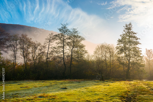 countryside scenery at sunrise. fog glowing in morning light above the forest on the grassy meadow. magical autumn landscape in mountains beneath a blue sky with clouds