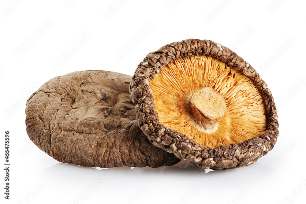 Dried shiitake mushrooms isolated on white background. With clipping path.