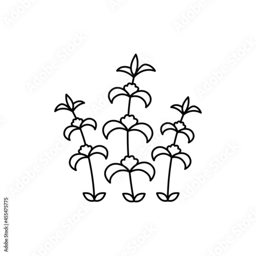 Melissa olor line icon. Essential oils. Pictogram for web page, mobile app, promo.