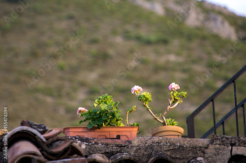 Macetas con flores en tejado y paisaje con bokeh de fondo