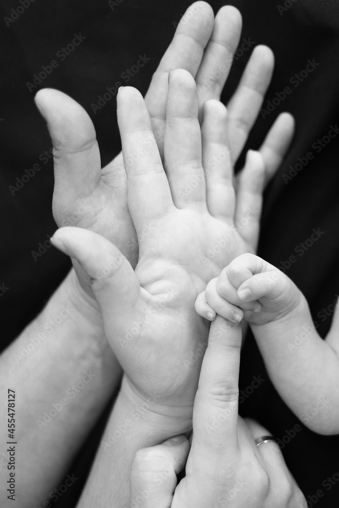 hands of the family - children, father, mother. black and white