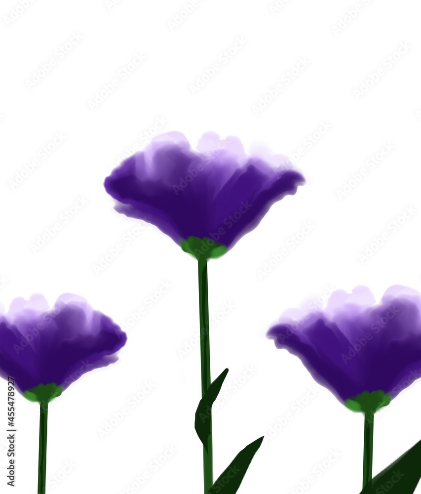 Fototapeta premium tulips isolated on white
