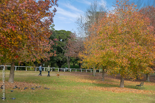 Canvas Print Centennial Park Sydney
