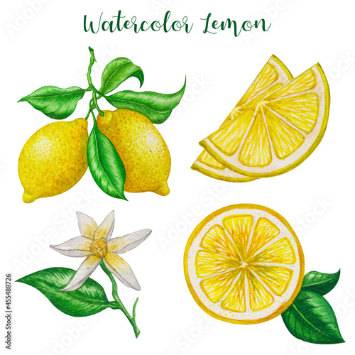 Lemon watercolor realistic painting