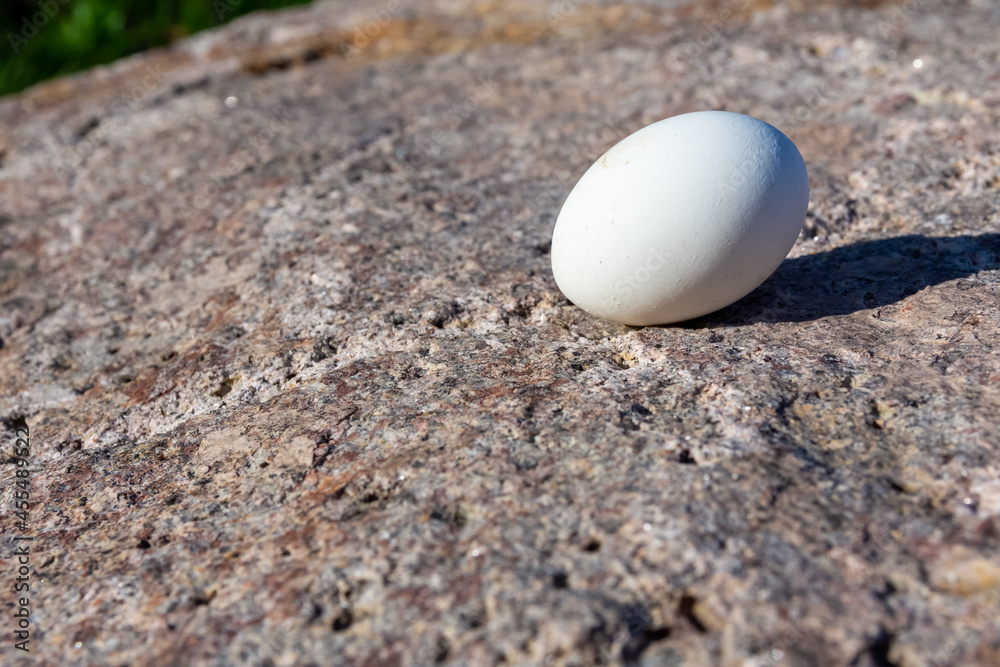 Whole hens egg lying on a rock in sunshine Whole hens egg lying on a rock in sunshine
