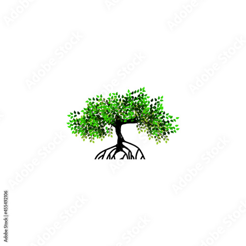 tree and roots vector illustrations, mangrove tree