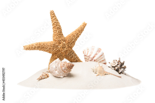 Beautiful sea star and seashells in sand on white background