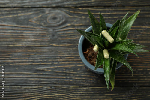 Aloe plant with capsule pills on wooden background