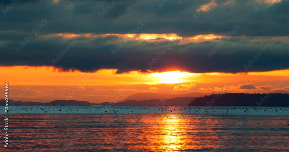 Time Lapse Lockdown Scenic View Of Sea Birds Moving On Landscape By Sea During Sunset - Vancouver, Canada