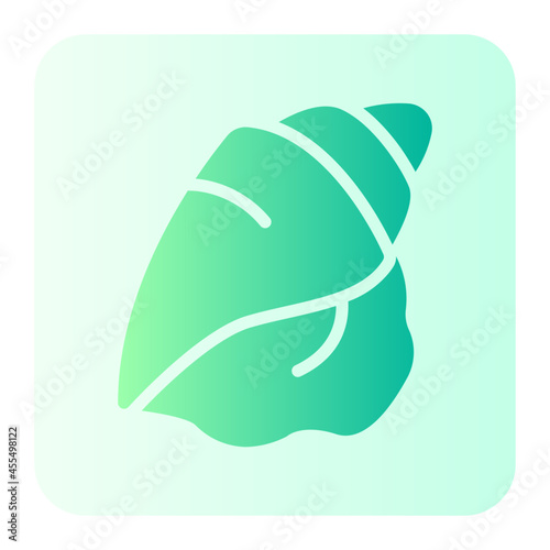 Shell gradient icon