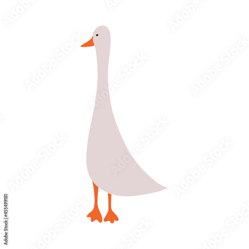 Cute gray goose illustration in flat style. Isolated on white background. Use in children's books 