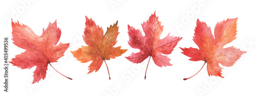 Set of watercolor autumn maple leaves