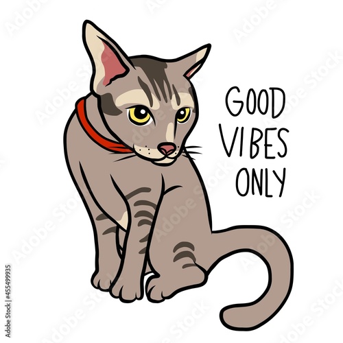 Tabby cat good vibes only cartoon vector illustration