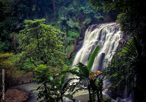 waterfall in the forest photo