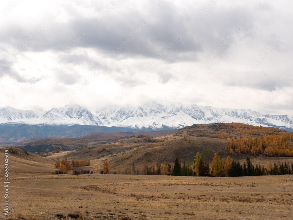 Fototapeta premium Autumn view of the Altai mountains and bright yellow trees. Severo-Chuysky ridge, Chuysky tract, Altai Republic, Russia