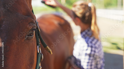 blurred young girl long hair turned head from camera in plaid shirt brush horse back. High-quality photo