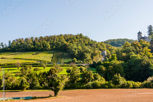 Arlesheim, Schloss Birseck, Weinberg, Landwirtschaft, Burg, Obstbäume, Ermitage, Wanderweg, Wald, Waldweg, Sommer, Schweiz photo