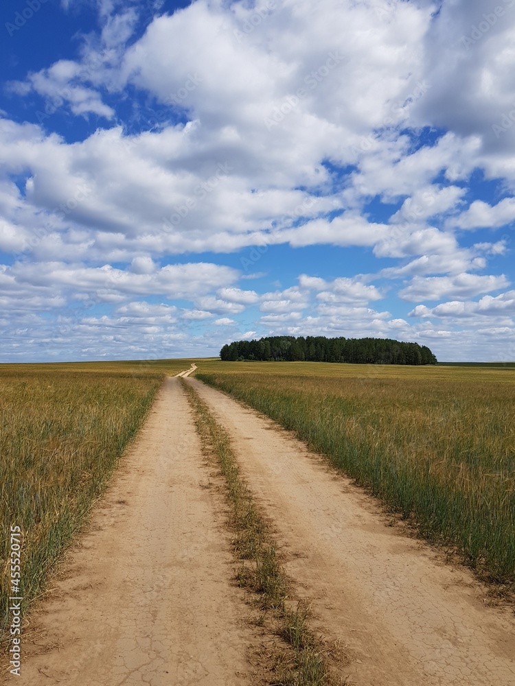 Dirt country road in a green field Dirt country road in a green field