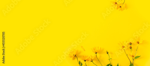 Flowers banner. Yellow flowers on yellow background. Spring  summer  autumn concept. Fall shopping  promotion  discount. Flat lay  top view  copy space.