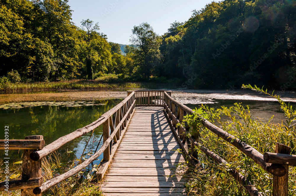 Arlesheim, Ermitage, Weiher, Seerose, See, Holzsteg, Baselland, Waldweg, Wanderweg, Spazierweg, Ausflugsort, Kraftort, Karpfen, Karpfenweiher, Sommer, Schweiz