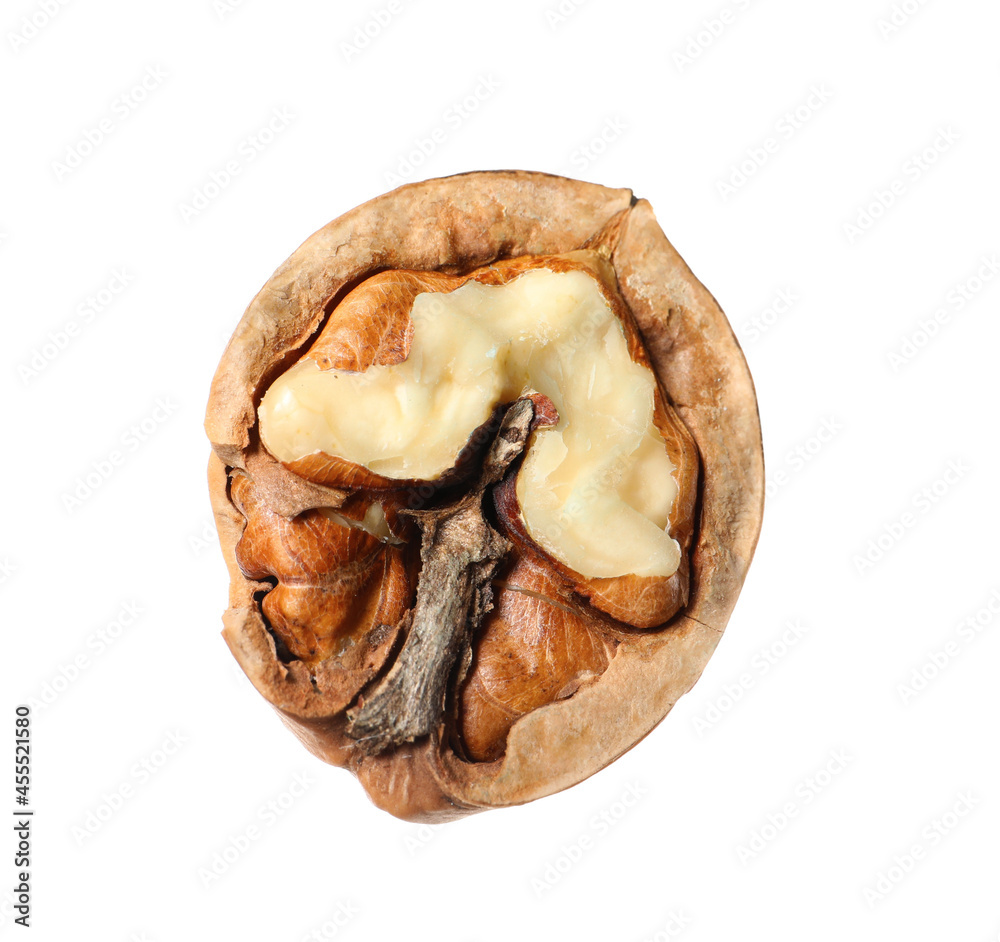 Piece of walnut in shell isolated on white Piece of walnut in shell isolated on white