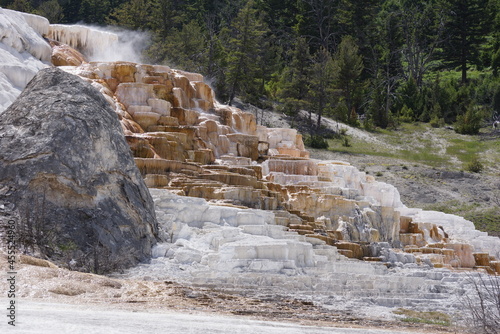 Mammouth Hot Springs, Yellowstone National Park photo