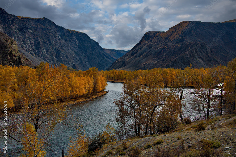 Russia. The South Of Western Siberia, The Altai Mountains. Golden autumn in the valley of the Chulyshman River near the Katu-Yaryk pass.