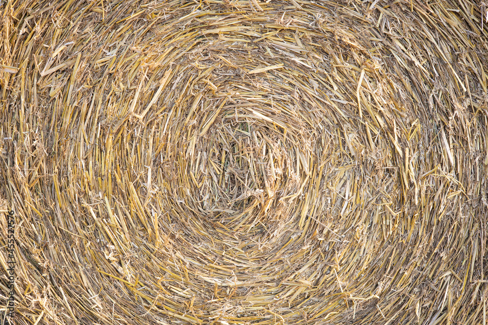 Straw Bale Spiral