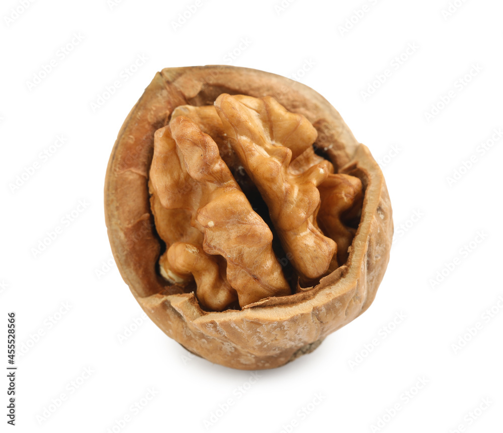 Tasty walnut in shell isolated on white Tasty walnut in shell isolated on white