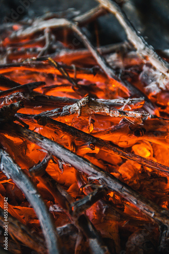 A red-hot tree in a summer bonfire © Степан Ковыльчик
