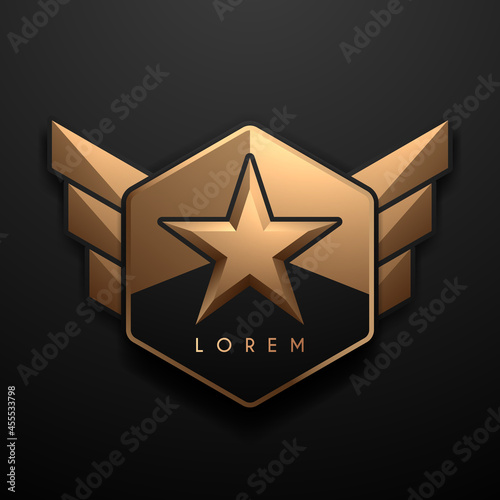 Black and gold star shape icon on black background