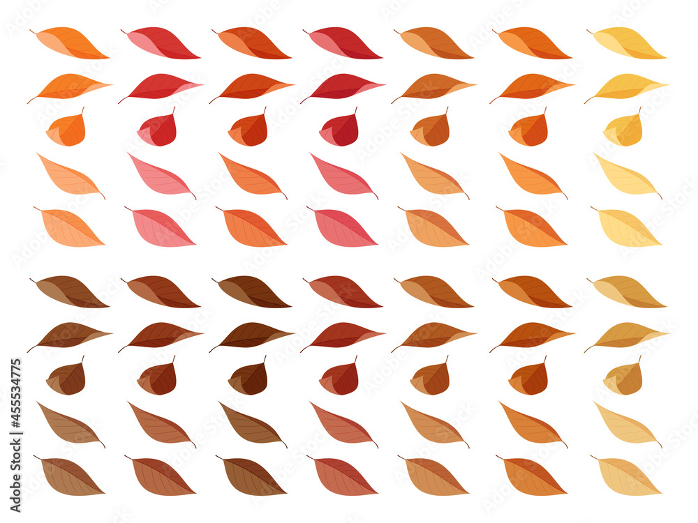 落ち葉のイラスト素材セット 紅葉と枯れ葉 普通っぽい葉っぱ フラット Stock Vector Adobe Stock