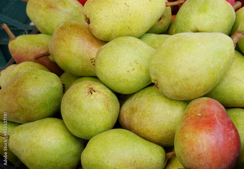 sweet,tasty pears from orchard in summer close up sweet,tasty pears from orchard in summer close up
