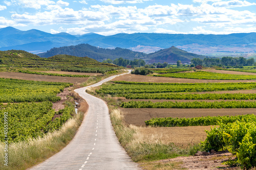 Exquisitely beautiful landscapes along the wine route of the Rioja region in Spain. photo