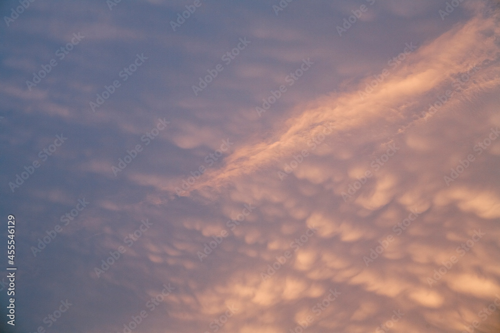 Purple cumulus clouds at sunset Purple cumulus clouds at sunset