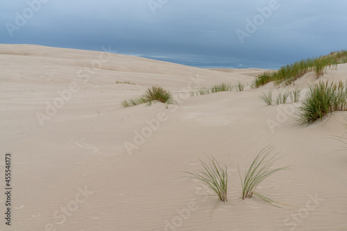 endless wandering sand dunes in Slowinski National Park on the Baltic Sea in northern Poland