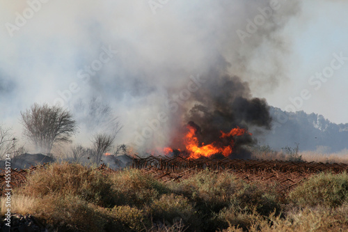 Burning Vineyard, loss of income and damage to property. Black smoke bellowing from the fields with flames soaring high.